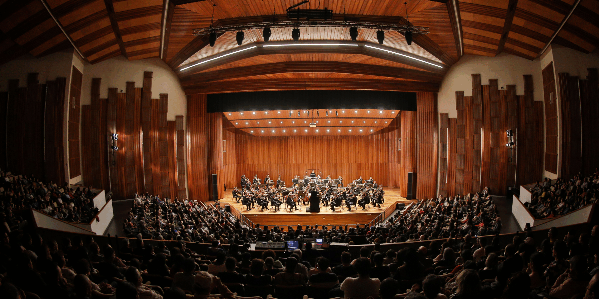 Concierto en el León de Greiff